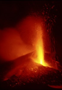 Nocturna Teneguia (2)